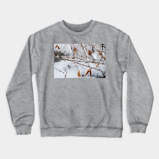 Ice Melts Crewneck Sweatshirt